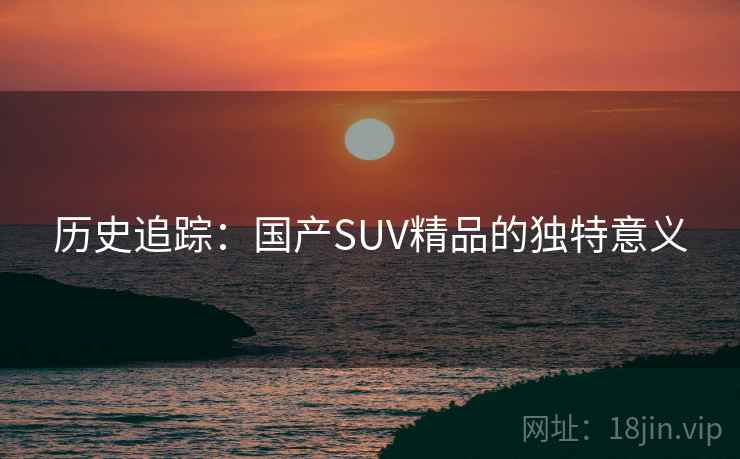 历史追踪:国产SUV精品的独特意义 第2张 历史追踪:国产SUV精品的独特意义 第2张